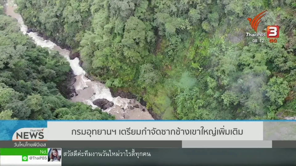 ​จับตาข่าวเด่น : กรมอุทยานฯ เตรียมกำจัดซากช้างเขาใหญ่เพิ่มเติม