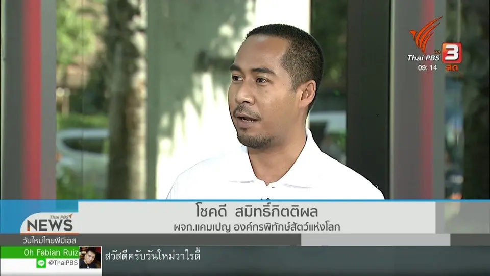 ประเด็นทางสังคม : "Raise Pigs Right" เลี้ยงหมูด้วยใจ ห่างไกลโรคเชื้อแบคทีเรียดื้อยา