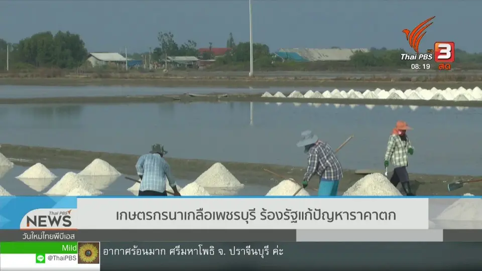 จับตาข่าวเด่น : เกษตรกรนาเกลือ ร้องรัฐแก้ปัญหาราคาตก