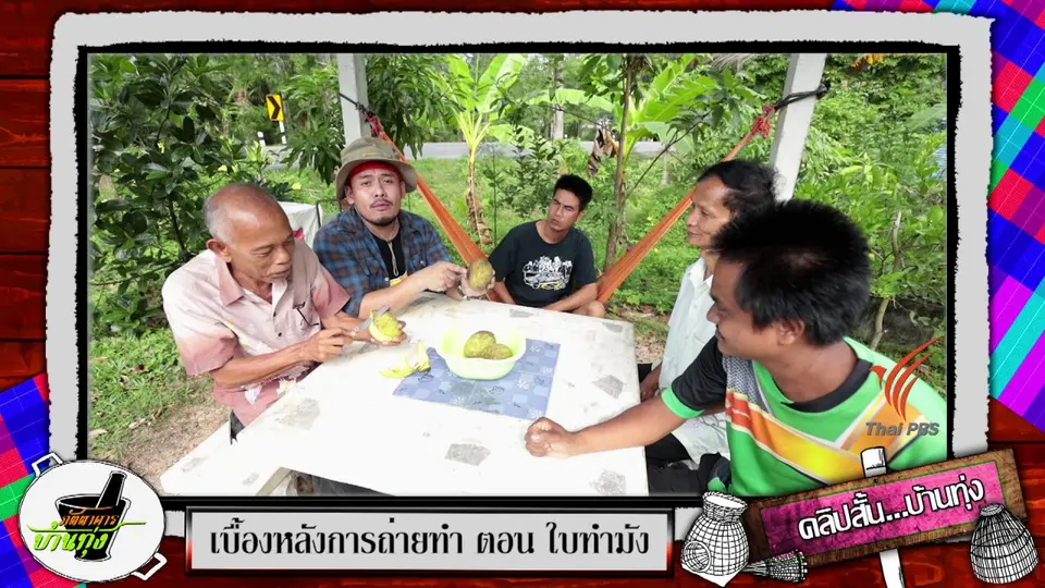 ​คลิปบ้านทุ่ง : มะมุด อร่อยหอมหวาน
