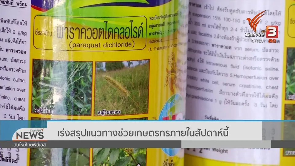 ​ชั่วโมงทำกิน : สมาคมผู้ส่งออกข้าวไทยหนุนแบน 3 สารเคมี
