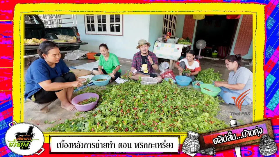 คลิปบ้านทุ่ง : กินพริกกะเหรี่ยงสด ๆ แบบสตังค์