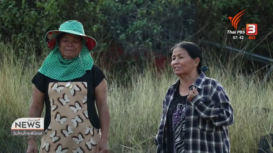 ​C-site Report : จับตาเหมืองแร่หนองบัว