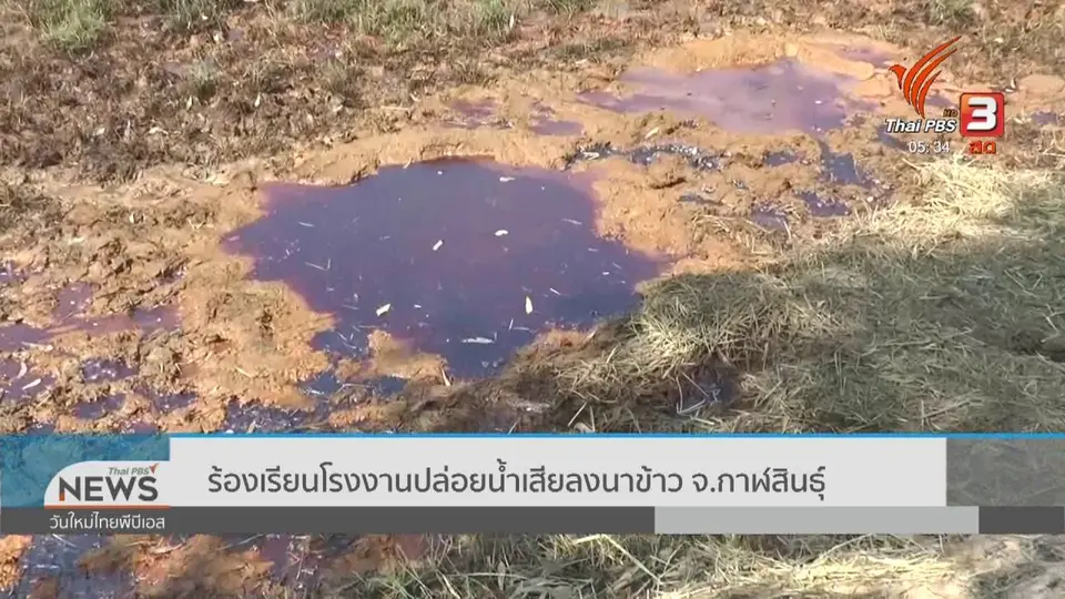 ​ร้องเรียนโรงงานปล่อยน้ำเสียลงนาข้าว จ.กาฬสินธุ์