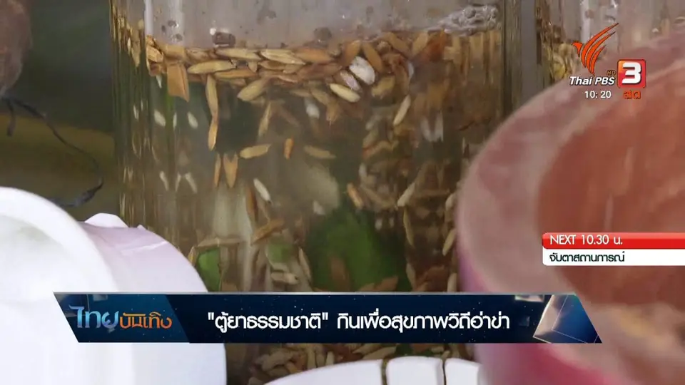 ​อิ่มมนต์รส : "ตู้ยาธรรมชาติ" กินเพื่อสุขภาพวิถีอาข่า