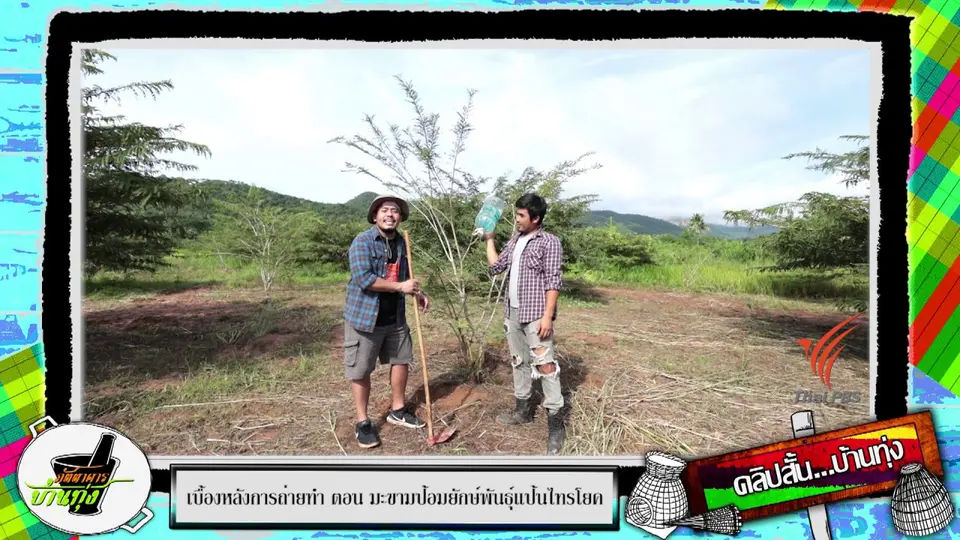 ​คลิปบ้านทุ่ง : ระบบน้ำหยดแบบแฮนด์เมดช่วยลดต้นทุน