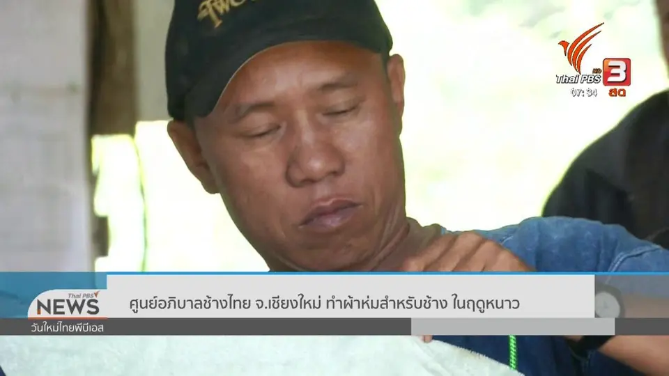 ทำมาหากิน ดินฟ้าอากาศ : ศูนย์อภิบาลช้างไทย จ.เชียงใหม่ ทำผ้าห่มสำหรับช้าง ในฤดูหนาว