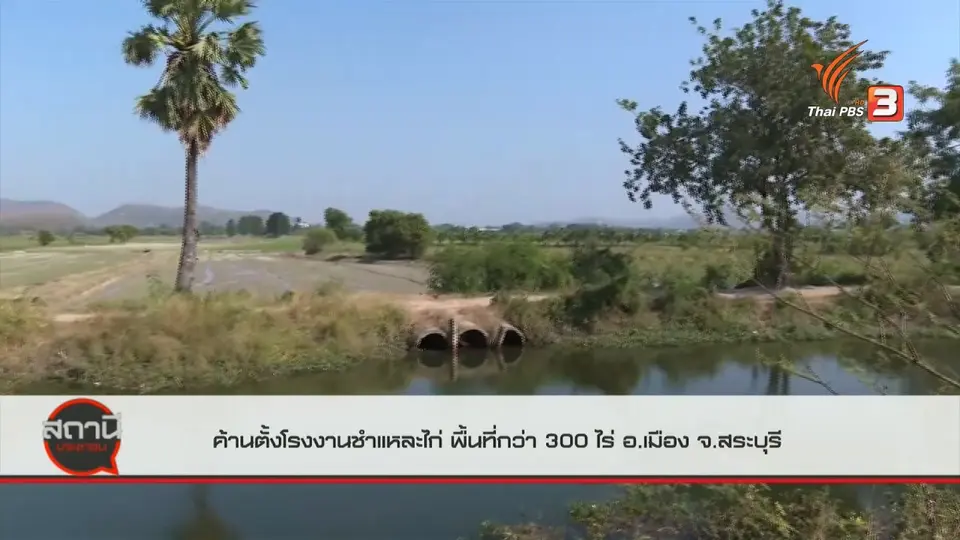 ​สถานีร้องเรียน : ค้านตั้งโรงงานชำแหละไก่ พื้นที่กว่า 300 ไร่ อ.เมือง จ.สระบุรี