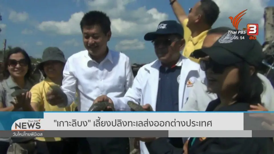 "เกาะลิบง" เลี้ยงปลิงทะเลส่งออกต่างประเทศ
