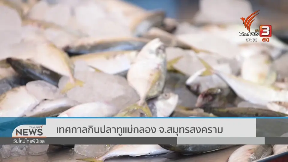 ทำมาหากิน ดินฟ้าอากาศ : เทศกาลกินปลาทูแม่กลอง จ.สมุทรสงคราม