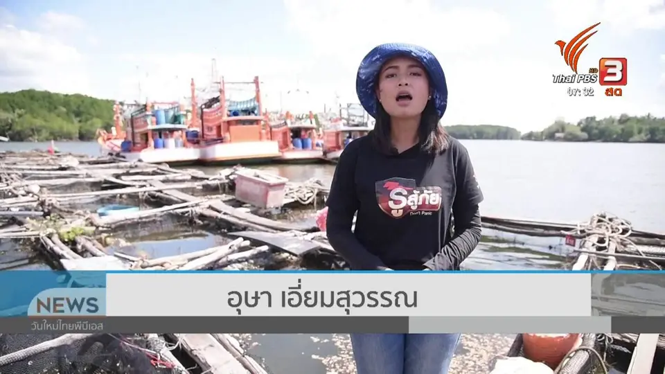 ทำมาหากิน ดินฟ้าอากาศ : การเลี้ยงปลาเก๋าแดง ปลาเก๋ามุก หลังสึนามิ จ.กระบี่
