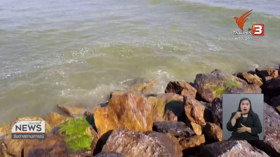 ปรากฏการณ์ขี้ปลาวาฬกระทบท่องเที่ยวหาดชะอำ