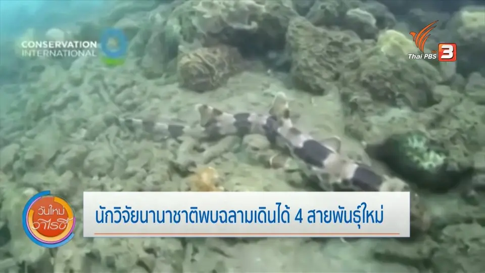 จับตาข่าวเด่น : หลากมิติความหลากหลายทางธรรมชาติทั่วโลก