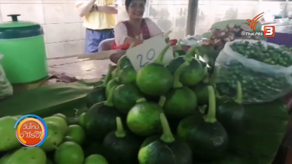จับตาข่าวเด่น : ตลาดอาหารปลอดภัย Go Green Plus