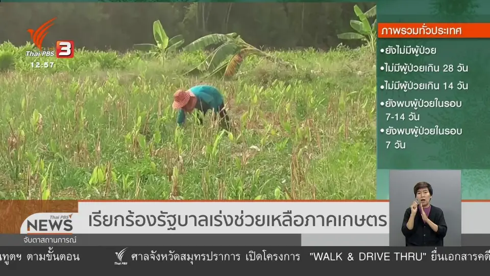 เรียกร้องรัฐบาลเร่งช่วยเหลือภาคเกษตร