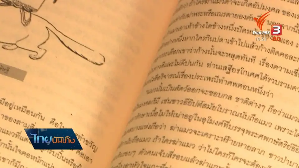 ​เรื่องนี้มีตำนาน : ความเชื่อเรื่องสีของสัตว์