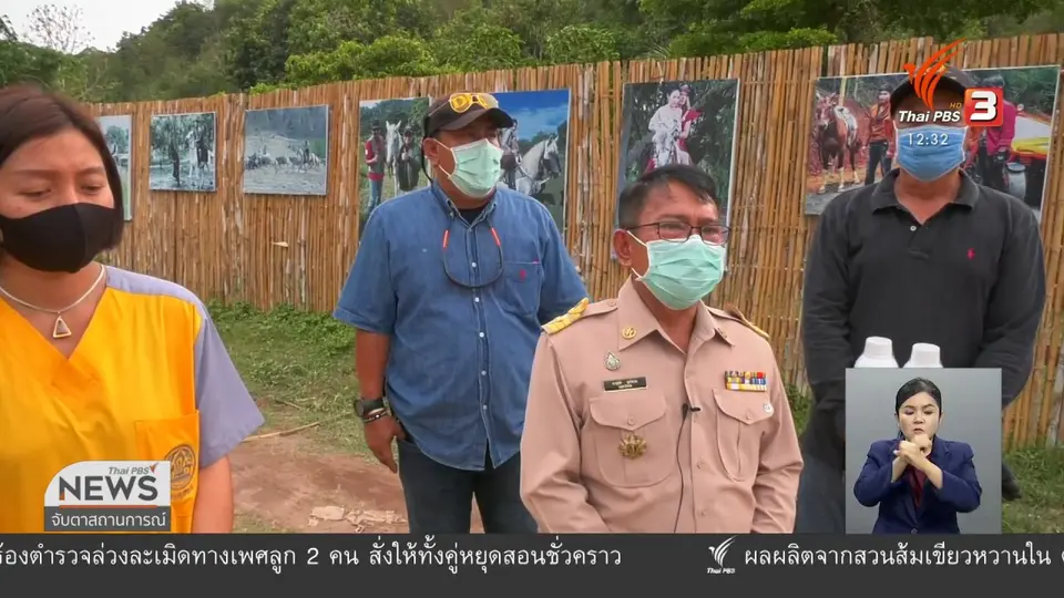 เฝ้าระวังม้าติดเชื้อกาฬโรคแอฟริกา จ.สระบุรี
