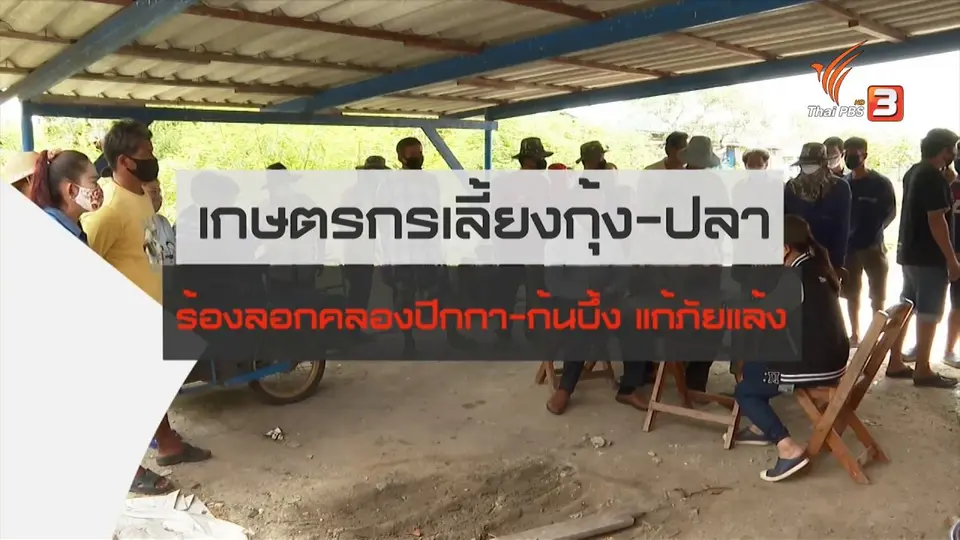 สถานีร้องเรียน : เกษตรกรเลี้ยงกุ้ง - ปลา ร้องลอกคลองปีกกา - ก้นบึ้ง แก้ภัยแล้ง