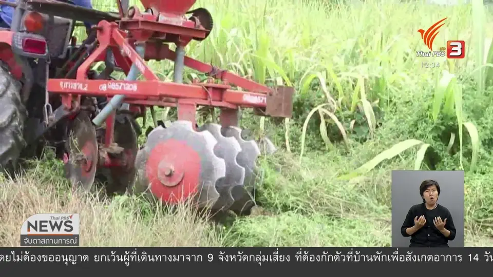 ​วัคซีนเศรษฐกิจ : ทางเลือก ทางรอด แบนสารเคมี