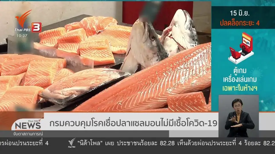 กรมควบคุมโรคเชื่อปลาแซลมอนไม่มีเชื้อโควิด-19