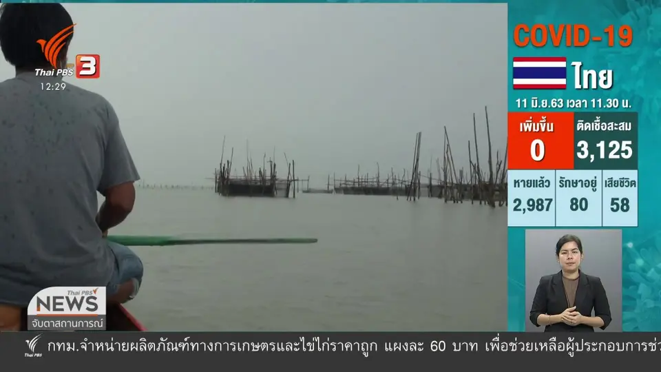 ปลากะพงประเทศมาเลเซีย ตีตลาดไทย