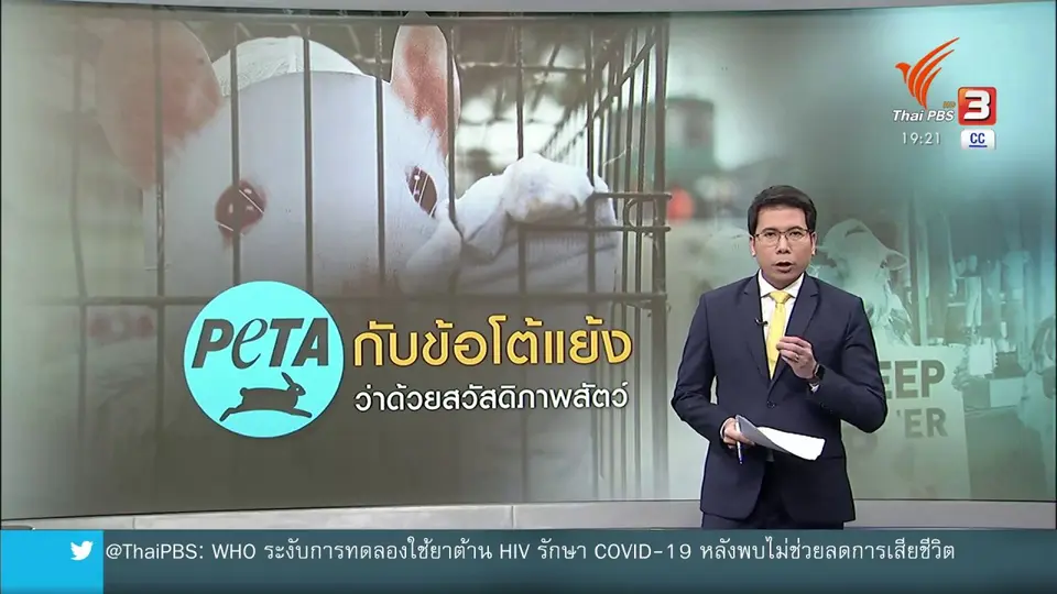 ​วิเคราะห์สถานการณ์ต่างประเทศ : ย้อนมอง PETA กับข้อโต้แย้งด้านสวัสดิภาพสัตว์