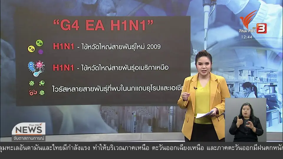 ไวรัส G4 ไวรัสใหม่จาก "หมู" ?