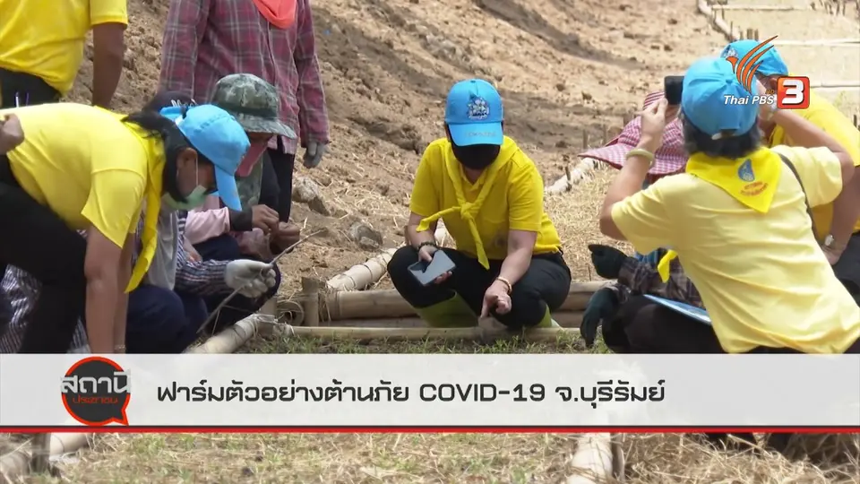 ฟาร์มตัวอย่างต้านภัย COVID-19 สร้างงาน สร้างอาชีพ จ.บุรีรัมย์ : สถานีร้องเรียน