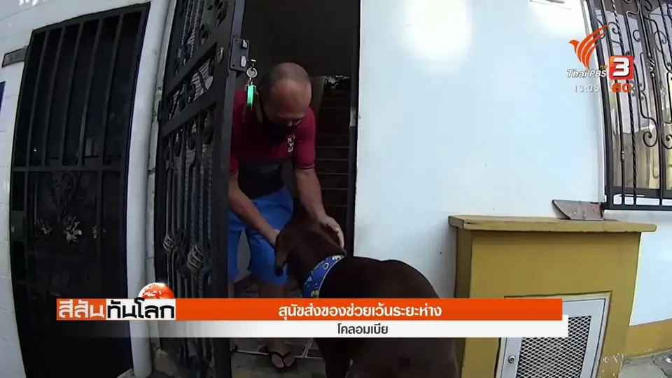 สุนัขส่งของช่วยเว้นระยะห่าง