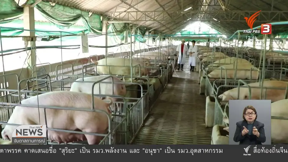วัคซีนเศรษฐกิจ : ใครทำหมูแพง