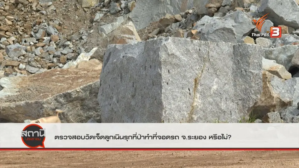 ​สถานีร้องเรียน : ตรวจสอบวัดเจ็ดลูกเนินรุกที่ป่าทำที่จอดรถ อ.บ้านค่าย จ.ระยอง หรือไม่ ?