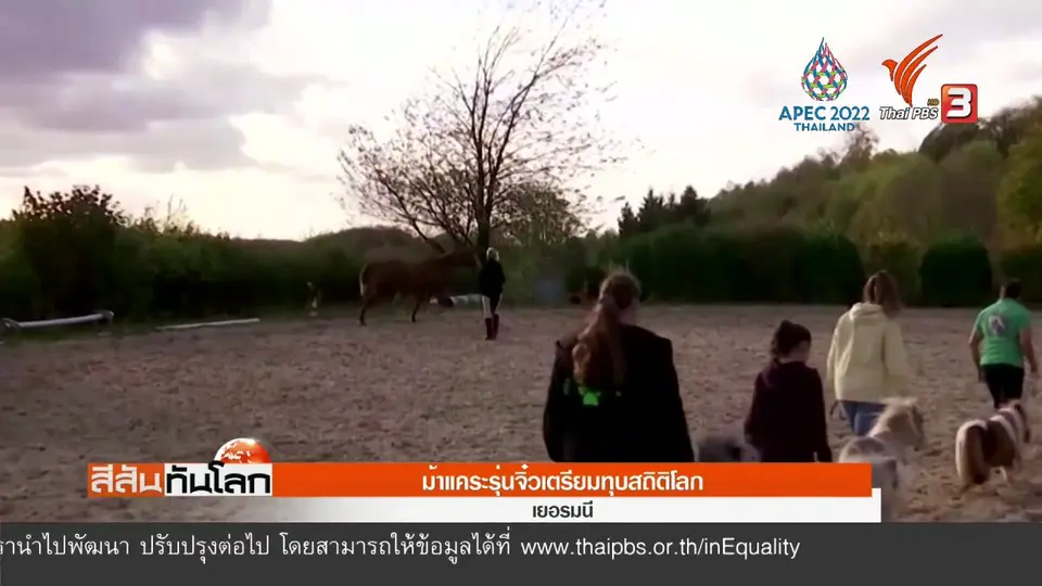 ​ม้าแคระรุ่นจิ๋วเตรียมทุบสถิติโลก