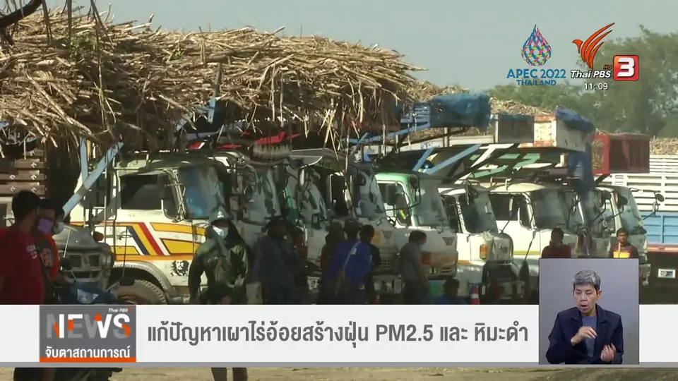แก้ปัญหาเผาไร่อ้อยสร้างฝุ่น PM2.5 และหิมะดำ