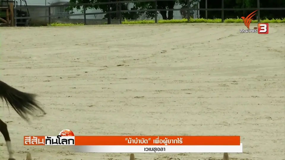 ​"ม้าบำบัด" เพื่อผู้ยากไร้