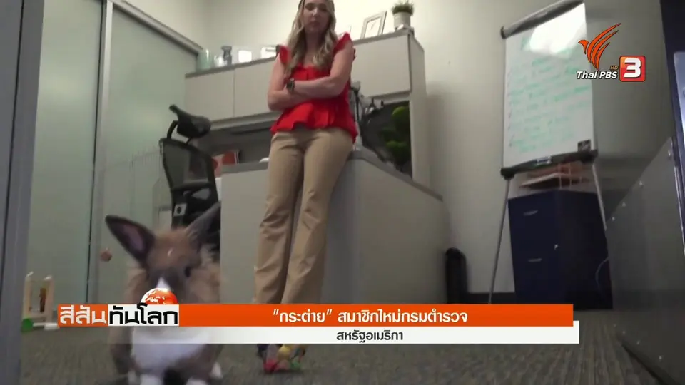 ​"กระต่าย" สมาชิกใหม่กรมตำรวจ