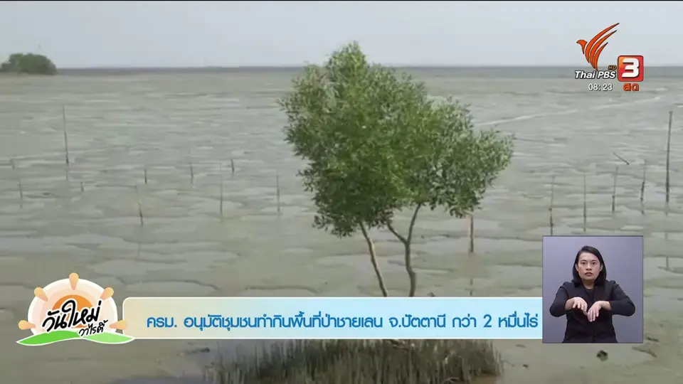 ​ชัวร์หรือมั่ว : ครม.อนุมัติชุมชนทำกินพื้นที่ป่าชายเลน จ.ปัตตานีกว่า 2 หมื่นไร่