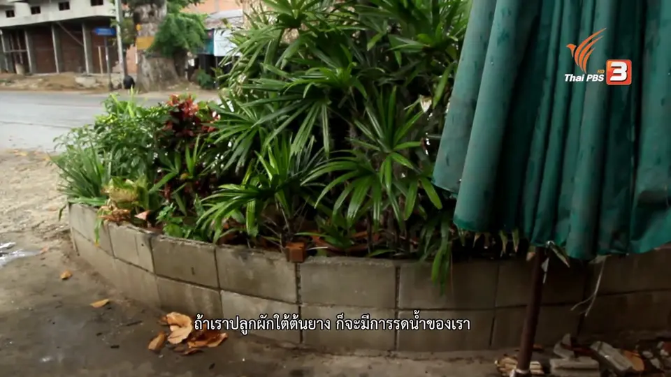 ไม้ใหญ่-เมืองใหญ่, ซาอุดร 2016 : หนีนาไปนอก, ตาชีหมู่บ้านรถจี๊ป