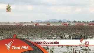 นักข่าวพลเมือง : ขุดลอกบึงบอระเพ็ด