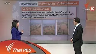 ผลกระทบปลูกข้าวนาปรัง ลุ่มน้ำเจ้าพระยา