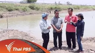 วิกฤตแล้งคลองชัยนาท - ป่าสัก