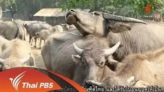 กขคง