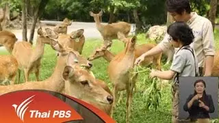 ความคิดเห็นต่อรายการ Animals Speak