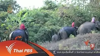 นักข่าวพลเมือง : วิถีความเปลี่ยนแปลงระหว่างคนกับช้างที่บ้านปูเต้อ จ.ตาก