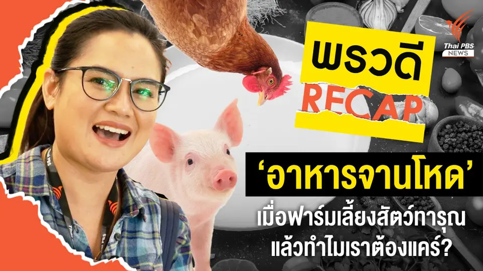 พรวดี RECAP EP.2 I ‘อาหารจานโหด’ เมื่อฟาร์มเลี้ยงสัตว์ทารุณ แล้วทำไมเราต้องแคร์?