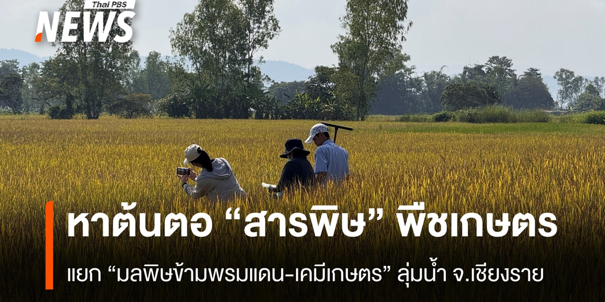 หาต้นตอ “สารพิษ” พืชเกษตร แยก “มลพิษข้ามพรมแดน-เคมีเกษตร” ลุ่มน้ำ จ.เชียงราย