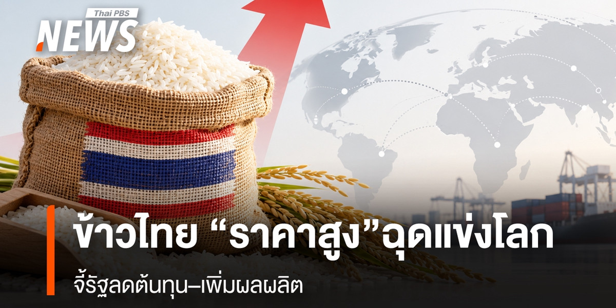 ข้าวไทย “ราคาสูง”ฉุดแข่งโลก จี้รัฐลดต้นทุน–เพิ่มผลผลิต