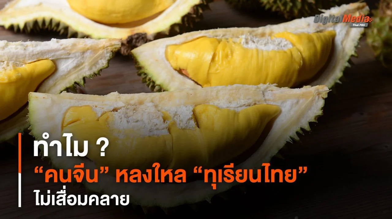 ทำไม ? “คนจีน” หลงใหล “ทุเรียนไทย” ไม่เสื่อมคลาย