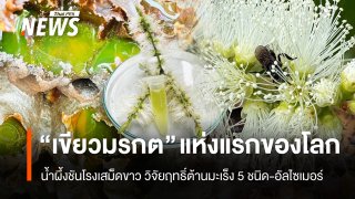น้ำผึ้งชันโรงเสม็ดขาว "สีมรกต" แห่งแรกของโลก วิจัยฤทธิ์ต้านมะเร็ง 5 ชนิด-อัลไซเมอร์