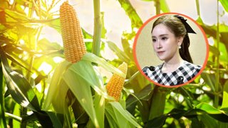 ครม.ไฟเขียว 3 โครงการเกษตร ใช้งบจีนหนุนเพิ่มรายได้ ลดภัยแล้ง–ลดเผา