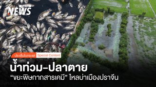 น้ำท่วม-ปลาตาย "ขยะพิษกากสารเคมี" ไหลบ่าเมืองปราจีน